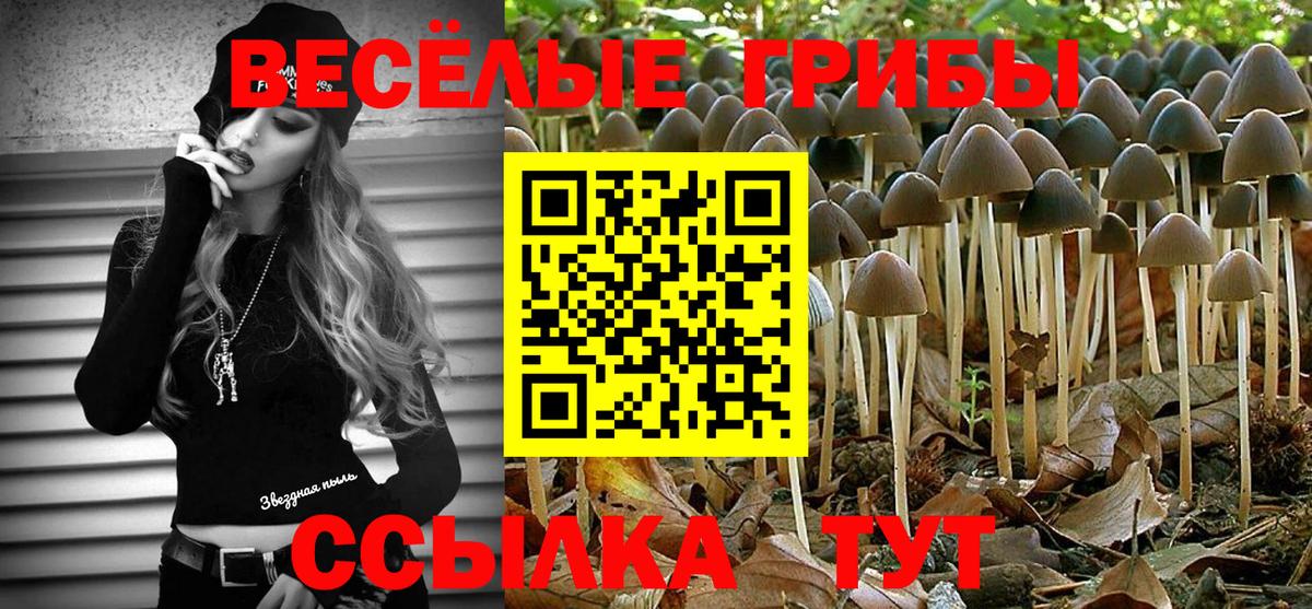 Псилоцибиновые грибы Cubensis Протвино